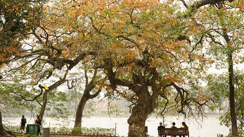 河内市还剑湖。图自因特网 河内市还剑湖。图自因特网