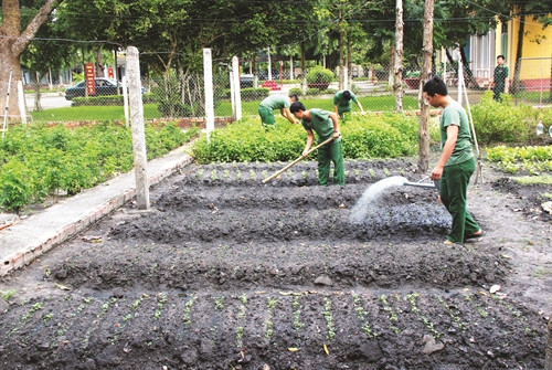 州城县福新边防哨所干部和战士种植蔬菜以改善边哨用餐质量。