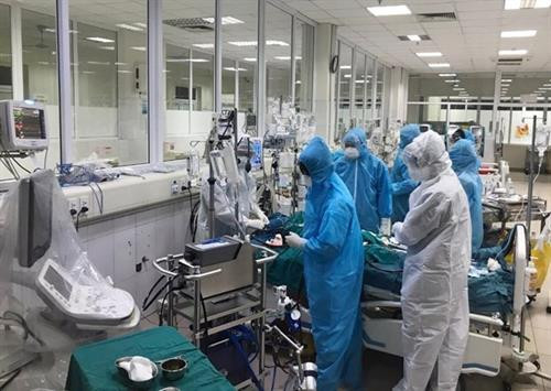 附图。图自越通社