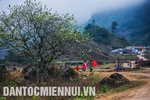 北 方 地区原始的自然美景及其诗情画意使 山 萝省木州高原成为旅游迷的一个熟悉地名。每逢春天，木州高原像换了新衣一样，满目都是盛开的桃花、李 子 花、油菜花以及犹如绿色浪潮 连绵起伏 的绿茶园。记者 安成达 摄 安子庙会一开庙，安子山峰是数千万四面八方游客的目的地。高度1068米的安子山 坐落于 越南东北地区东潮山脉，位于广宁省汪秘市上安公乡。原本是一处自然美景，被命名为“越南佛教祖地”的安子山峰目前还保留着许多历史遗迹。 记者 英俊 摄 年初的沙坝有着西北春天独特之美。来到沙坝，游客可探索大自然，征服番西邦 山 峰，沉浸在花的海洋里，桃花、李 子 花、梨花、玫瑰花 应有尽有。沙坝还以小小的咖啡馆和民宿馆而闻名，在这里，将整个云雾蒙蒙中的小镇缩小在美丽的院子里。记者 国庆 摄 木江界是西北地区安沛省的一个山区县。这是吸引四面八方游客的目的地。雄伟壮观的山脉、美丽如画的梯田成为木江界独特的亮点。图自越通社