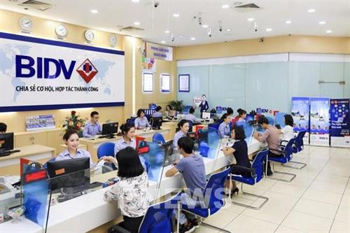 资料图、图自越通社 资料图、图自越通社