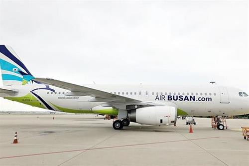 附图。图自因特网