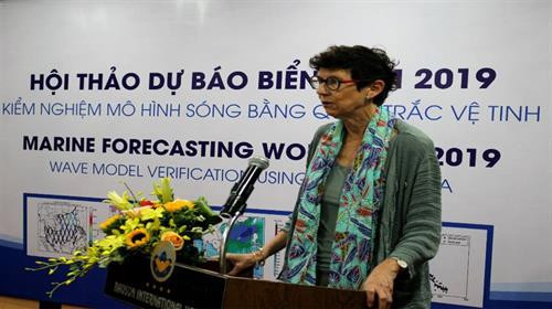 挪威驻越大使在会上发言。图自互联网