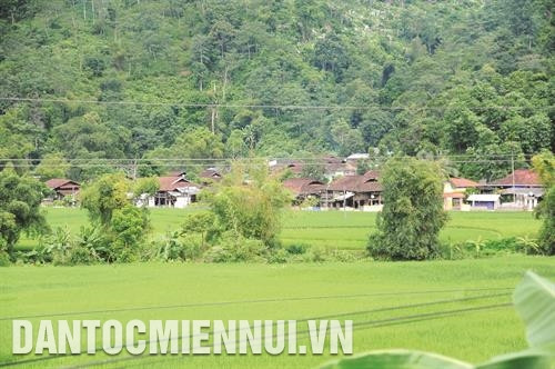 上农乡岱依族的古村一角。记者 范燕 摄