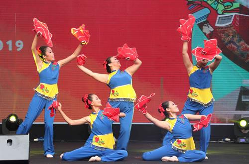 新加坡节活动上的文艺表演 图自越通社