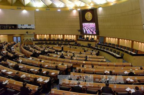 泰国议会一场会议。（图片来源：AFP)