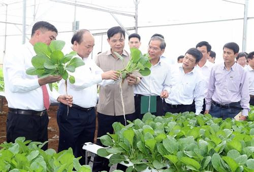 越南政府总理阮春福探访林同省风翠农产品贸易生产有限责任公司 越通社记者 统一 摄