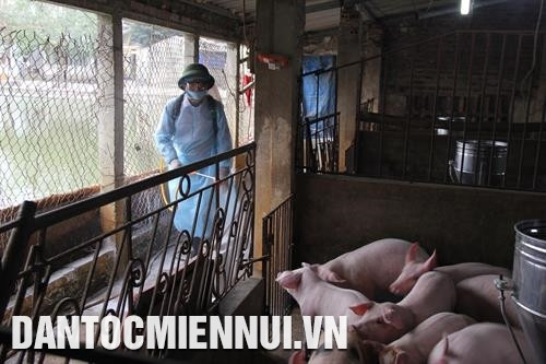 河内市国威县喷洒消毒剂,预防非洲猪瘟。记者 中春 摄