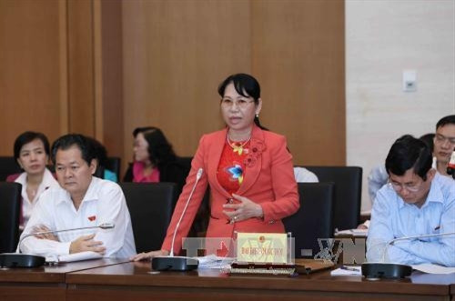 后江省国会代表阮青水发表意见。（图片来源：越通社）