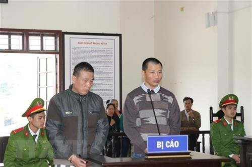 杜德文和阮廷鹰两名被告。（图片来源：越通社）