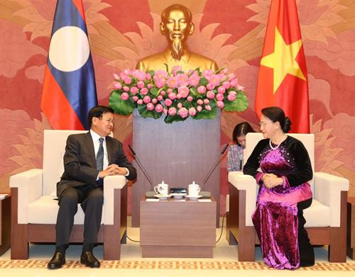 越南国会主席阮氏金银会见老挝总理通伦·西苏里。（图片来源：越通社）