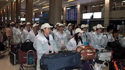 附图。图自互联网