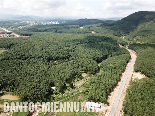 来到玉回县各偏远山区乡，处处都看到橡胶树林的绿色以及绿油油、果实累累的咖啡树园。记者 黄河 摄