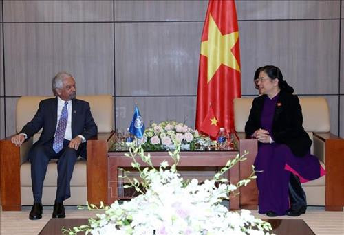 越南国会副主席丛氏放会见联合国驻越协调员 图自越通社
