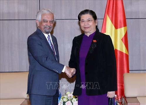 越南国会副主席丛氏放会见联合国驻越协调员 图自越通社