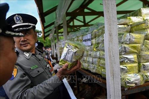 附图。图自越通社