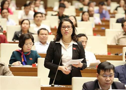 河内市国会代表阮氏兰进行咨询。 图自越通社 河内市国会代表阮氏兰进行咨询。 图自越通社