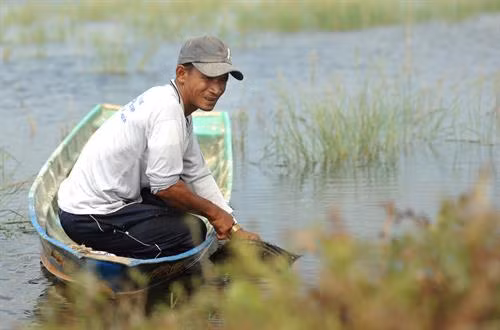 在稻田养虾用地上的名威。越通社记者 福青 摄