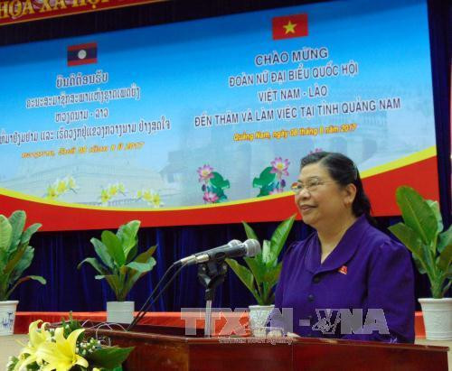 越南国会常务副主席丛氏放发表讲话。(图片来源:越通社) 越南国会常务副主席丛氏放发表讲话。(图片来源:越通社)