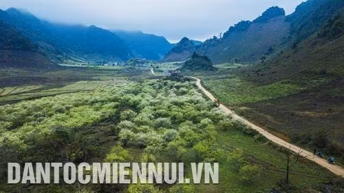 蒙族孩子友好和天真的笑容。 春天到来，木州高原穿上新衣裳。 黄灿灿的油菜花。 木州高原最美的季节为春天。 春天到来，木州高原上的李花盛开。