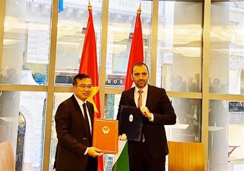 越南工贸部副部长、委员会越方主席黄国旺与匈牙利外交和对外经济部出口事务副国务秘书、委员会匈方主席Istvan Joo 共同主持会议。图自越南驻匈供 越南工贸部副部长、委员会越方主席黄国旺与匈牙利外交和对外经济部出口事务副国务秘书、委员会匈方主席Istvan Joo 共同主持会议。图自越南驻匈供