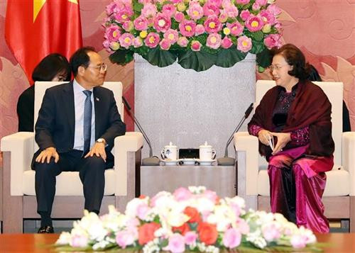 越南国会主席阮氏金银会见韩国驻越南大使朴卢万。图自越通社