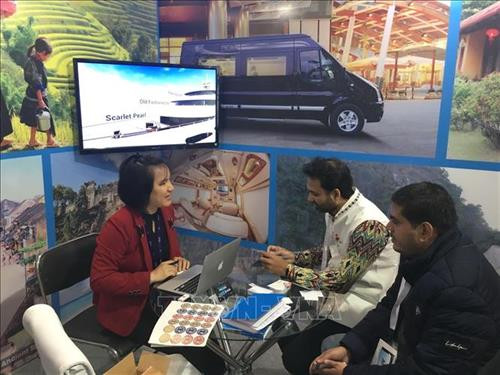 越南旅游企业与印度伙伴交流。图自越通社