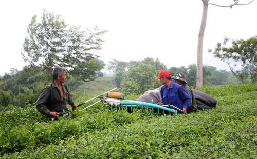 附图 图自phutho.gov.vn