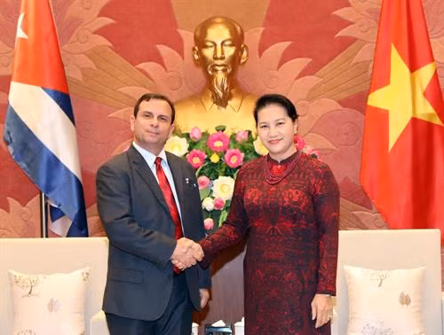 越南国会主席阮氏金银荣获古巴国务委员会授予的团结勋章 ảnh 1 越南国会主席阮氏金银荣获古巴国务委员会授予的团结勋章 ảnh 1