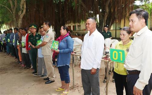 安江省边防部队政委范文峰大校向柬埔寨干拉省贫困户赠送牛苗。图自越通社