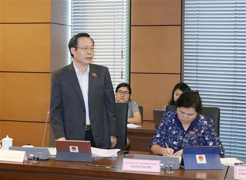 国会副主席冯国显发表意见。图自越通社