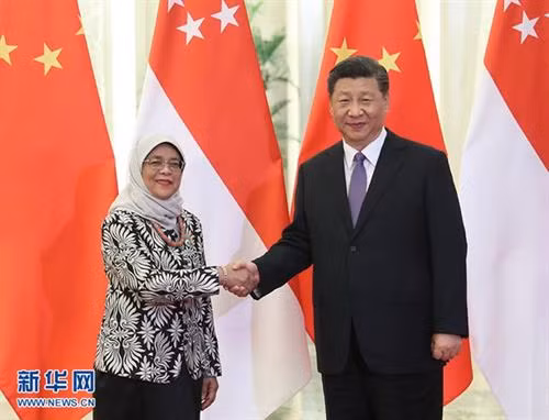 中国国家主席习近平会见新加坡总统哈莉玛·雅各布。图自新华社