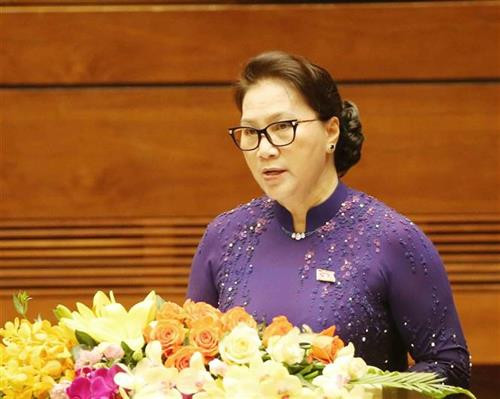 国会主席阮氏金银在开幕式上发表讲话。图自越通社