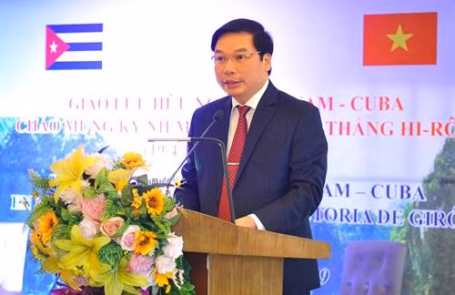 宁平省人民委员会常务副主席宋光辰发表讲话。图自越通社