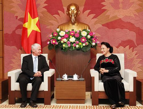 越南国会主席阮氏金银会见匈牙利总检察长波尔特 图自越通社