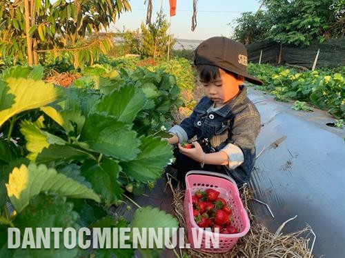 各农业旅游景点吸引大量小朋友前来参观和了解。记者 光泰 摄