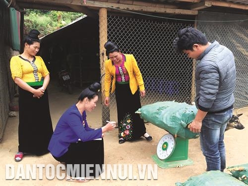 在参加扫盲班后已会计算和记录商品交易活动中的信息。记者 友决