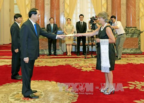 陈大光主席接受西班牙和也门新任驻越大使递交国书 ảnh 1