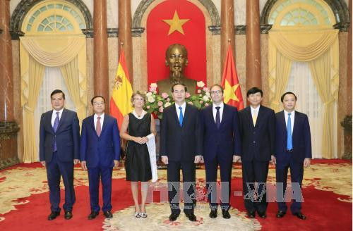 陈大光与西班牙王国大使举行会晤。（图片来源：越通社）