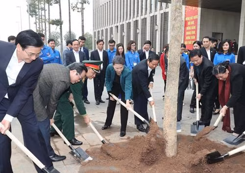 阮氏金银参加在国会大厦周围进行的羊蹄甲树植树活动。（图片来源：越通社）