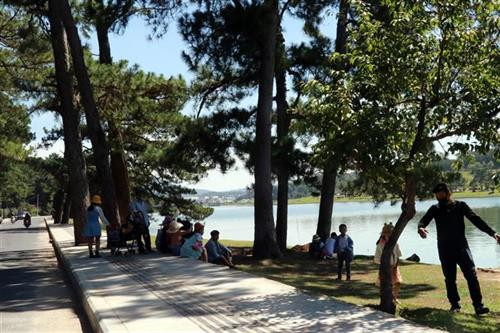 林同省大叻。图自越通社