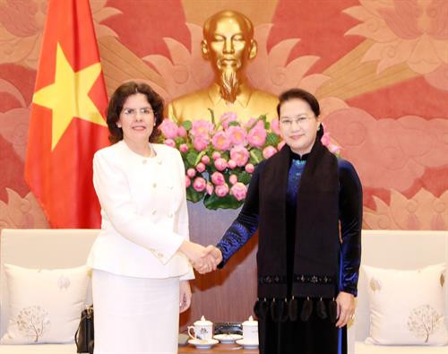 越南国会主席阮氏金银（右）会见古巴新任驻越大使里维拉。（图片来源：越通社）