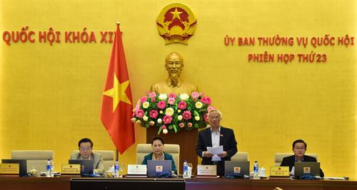 国会副主席汪周刘在会上发言。越通社记者 杨江 摄 国会副主席汪周刘在会上发言。越通社记者 杨江 摄