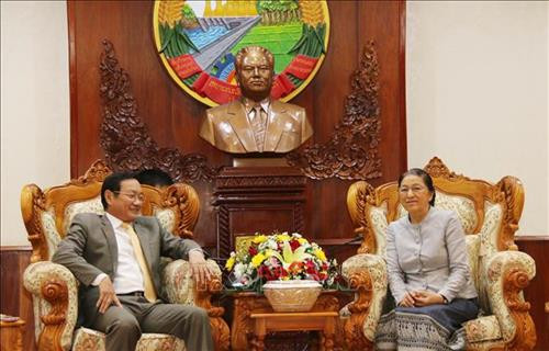 越南驻老挝大使阮伯雄向老国会主席巴妮·雅陶都送上新年问候。图自越通社