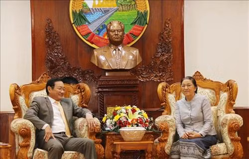 越南驻老挝大使阮伯雄向老国会主席巴妮·雅陶都送上新年问候。图自越通社