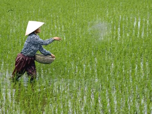 附图（图片来源于网络）