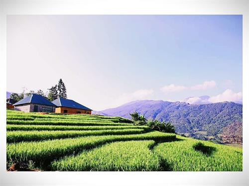 老街省八杀县伊子乡已成为颇受国内外游客欢迎的旅游景点。图自互联网 老街省八杀县伊子乡已成为颇受国内外游客欢迎的旅游景点。图自互联网