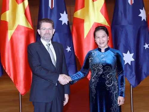 越南国会主席阮氏金银会见澳大利亚参议院议长斯科特•瑞安。(图片来源:越通社) 越南国会主席阮氏金银会见澳大利亚参议院议长斯科特•瑞安。(图片来源:越通社)