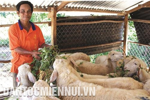 家庭贷款顺北县政策性银行来养殖绵羊。记者 功暑 摄