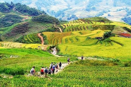 越南体验式旅游潜力巨大。图自互联网